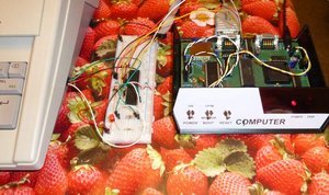 TTL-Interface.jpg